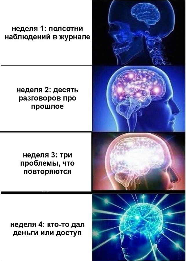 Мем с растущим мозгом: четыре недели от журнала наблюдений до первого платящего пилота